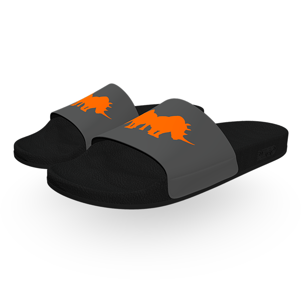 RHINO SLIDES