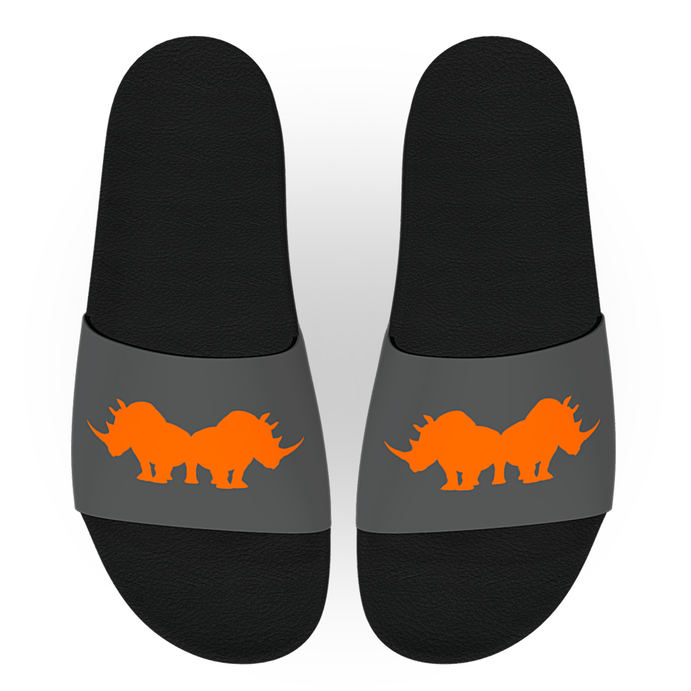 RHINO SLIDES